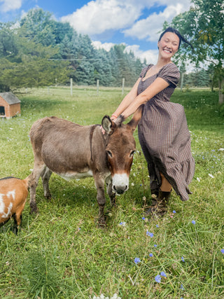 Cider Season Plaid Dress