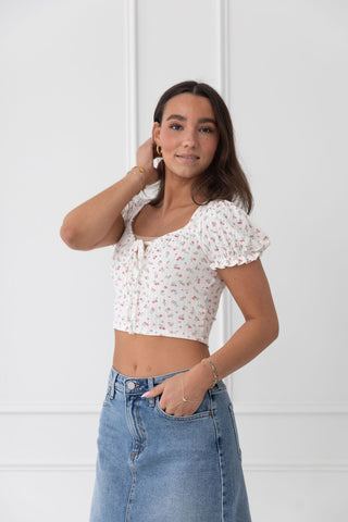 Summer Picnic Crop Top